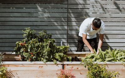 How gardening can reduce anxiety